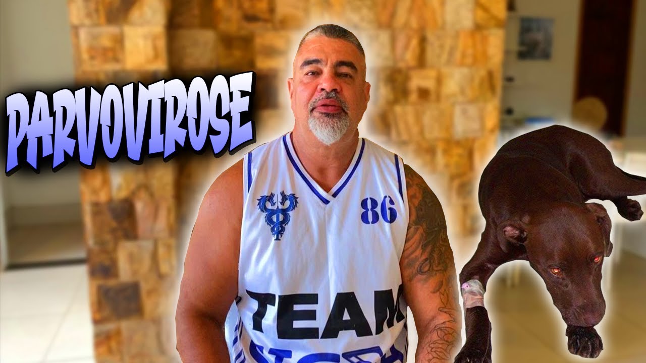A TEMIDA PARVOVIROSE - REMAKE