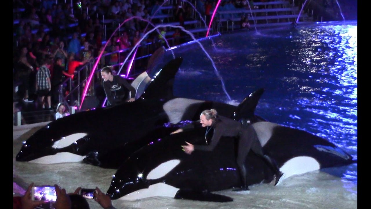 Final Shamu's Celebration: Light Up the Night at SeaWorld San Diego 10-29-16