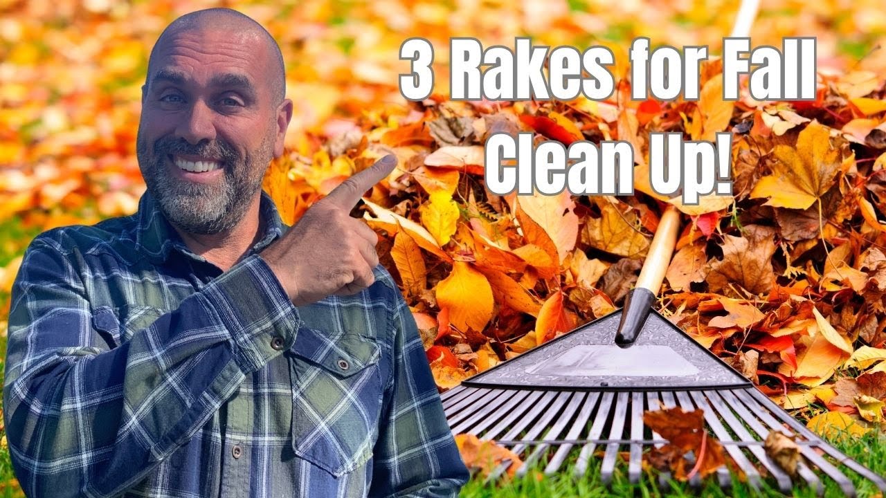 3 Best Leaf Rakes for Fall Clean-Up | Must-Have Lawn Tools