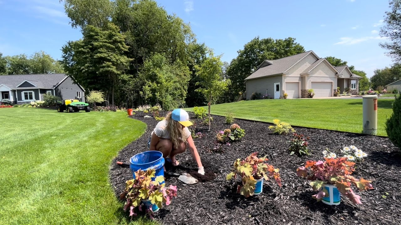 Gardening: Planting Carmel Heuchera & Purple Knockout Salvia Down the Lane, Transplanting Coneflower