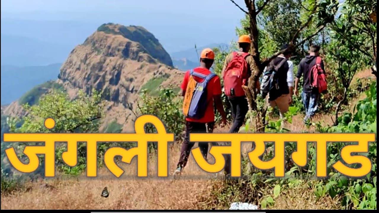 Jangli Jaigad ( koyna nagar, Tal- Patan)##जंगली जयगड(कोयना नगर, तालुका पाटण, जिल्हा -सातारा)