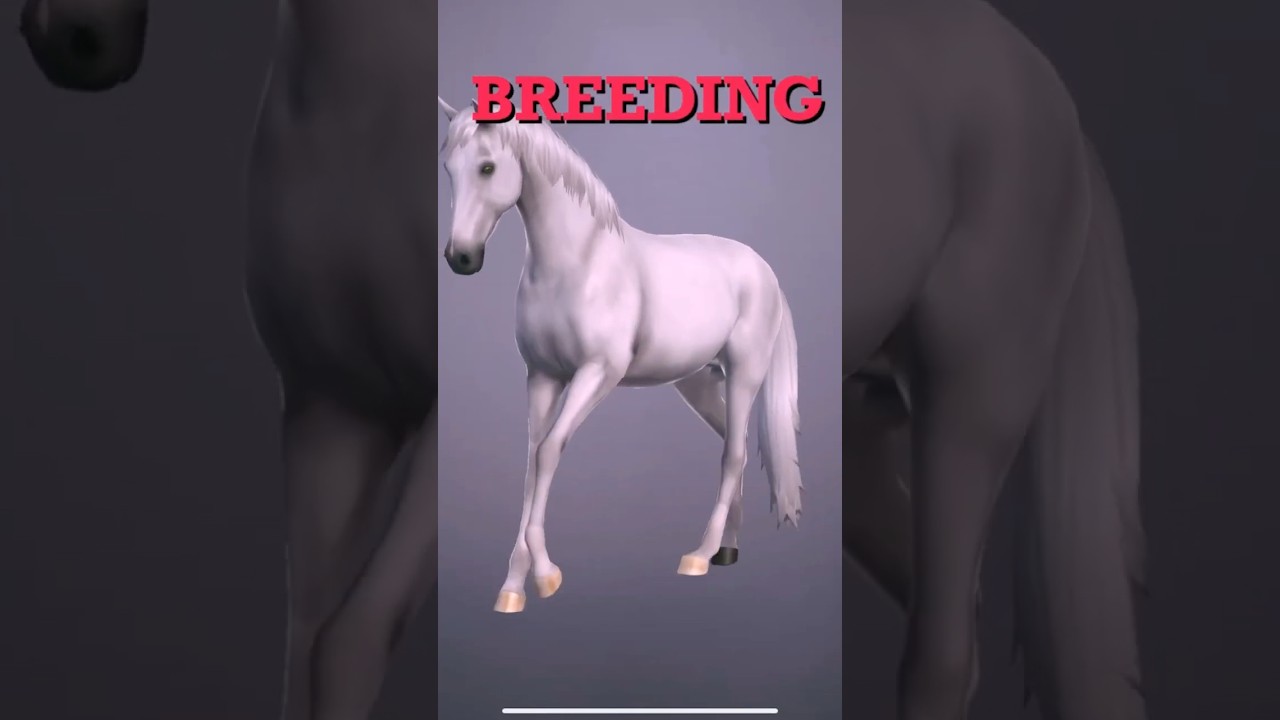 The misery of color breeding😤 - ETG #equestrianthegame #breeding #etg #horses