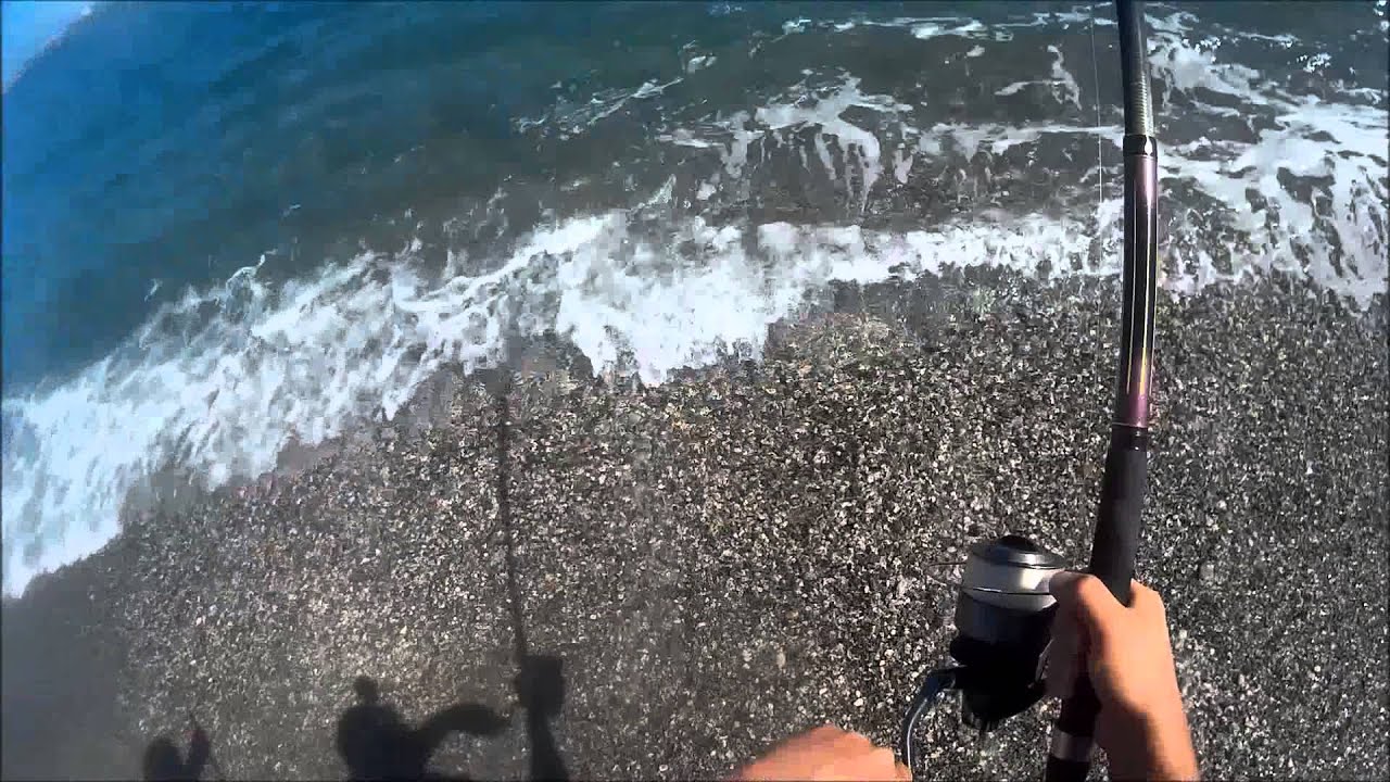 PESCARE MILAZZO: Cattura Pesce Serra col vivo