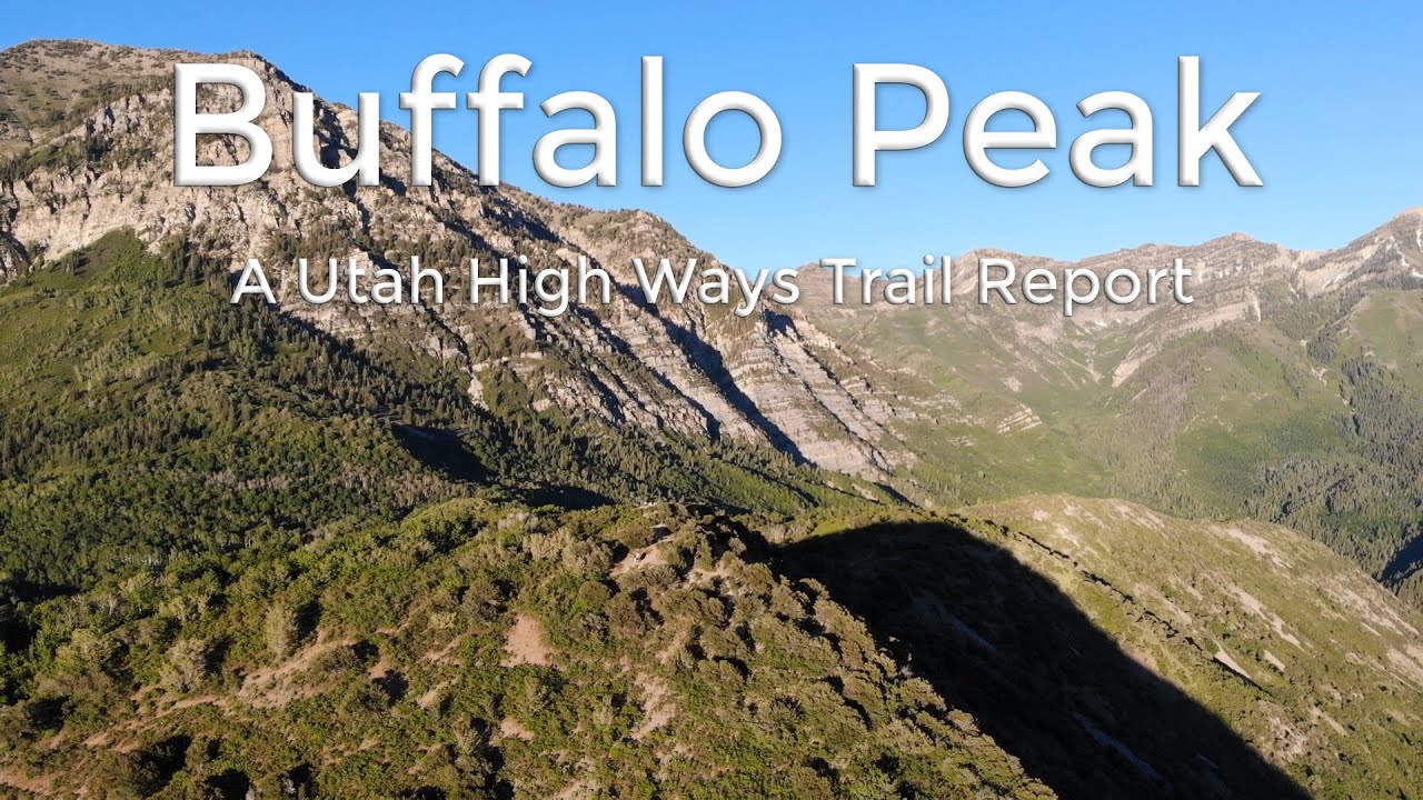 Buffalo Peak Trail Report