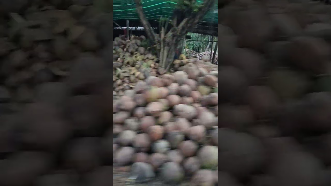 Đường làng Miền Tây 