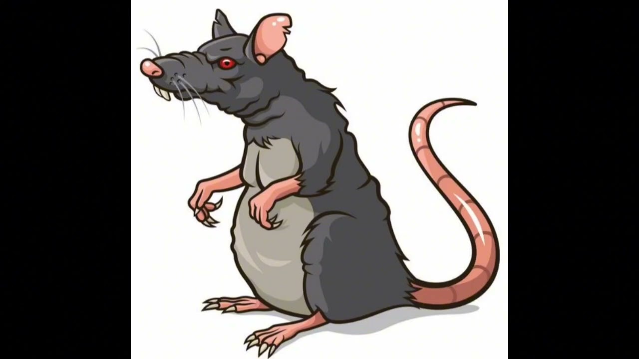 Locos Pa Locos - Joes & Jason Ywc