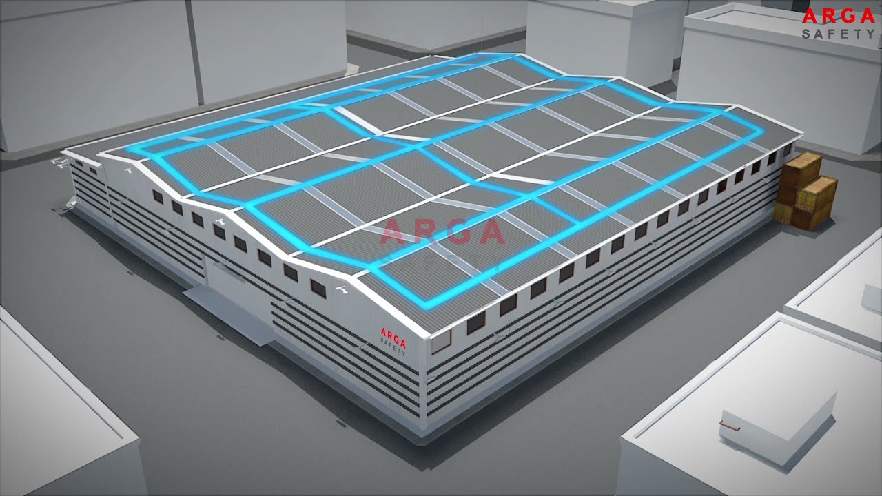 YAŞAM HATTI NEDİR? 3D ANİMASYON