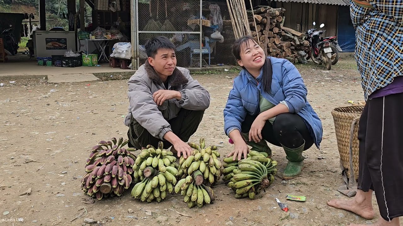Life Off the Grid, Living Simply - Harvesting Wild Bananas for Sale