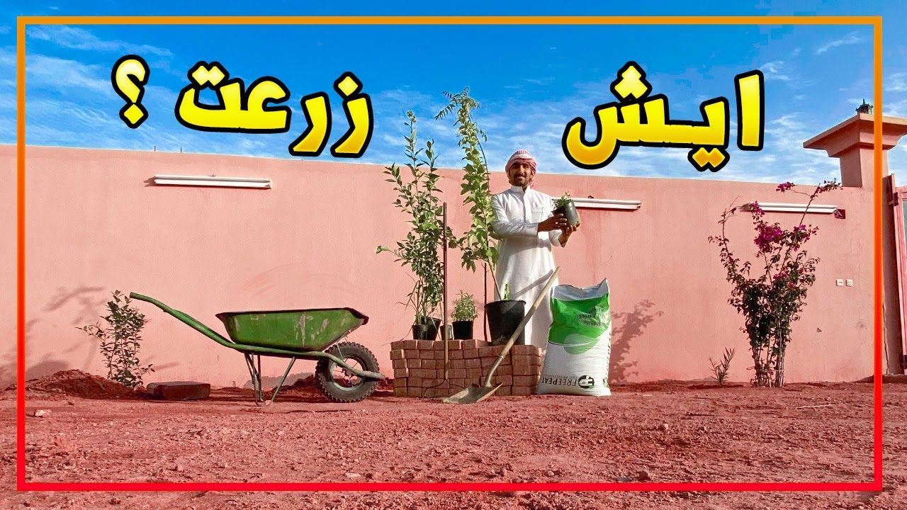 اخيراً زرعت الحديقة 😍🌳