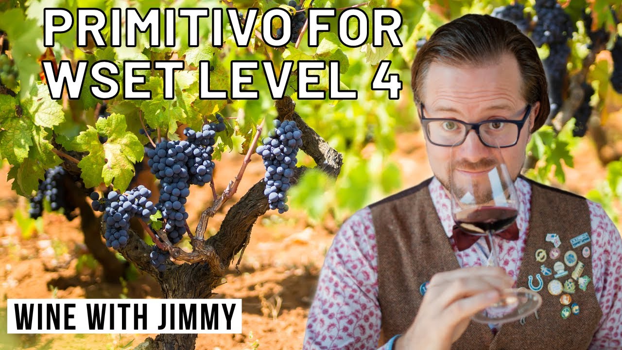 Апулия, часть 3: Вина Primitivo для диплома WSET 4 уровня