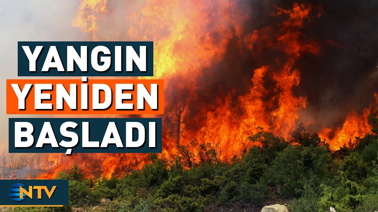 Bursa'da Daha Önce Söndürülen Nokta Yeniden Alev Aldı | NTV