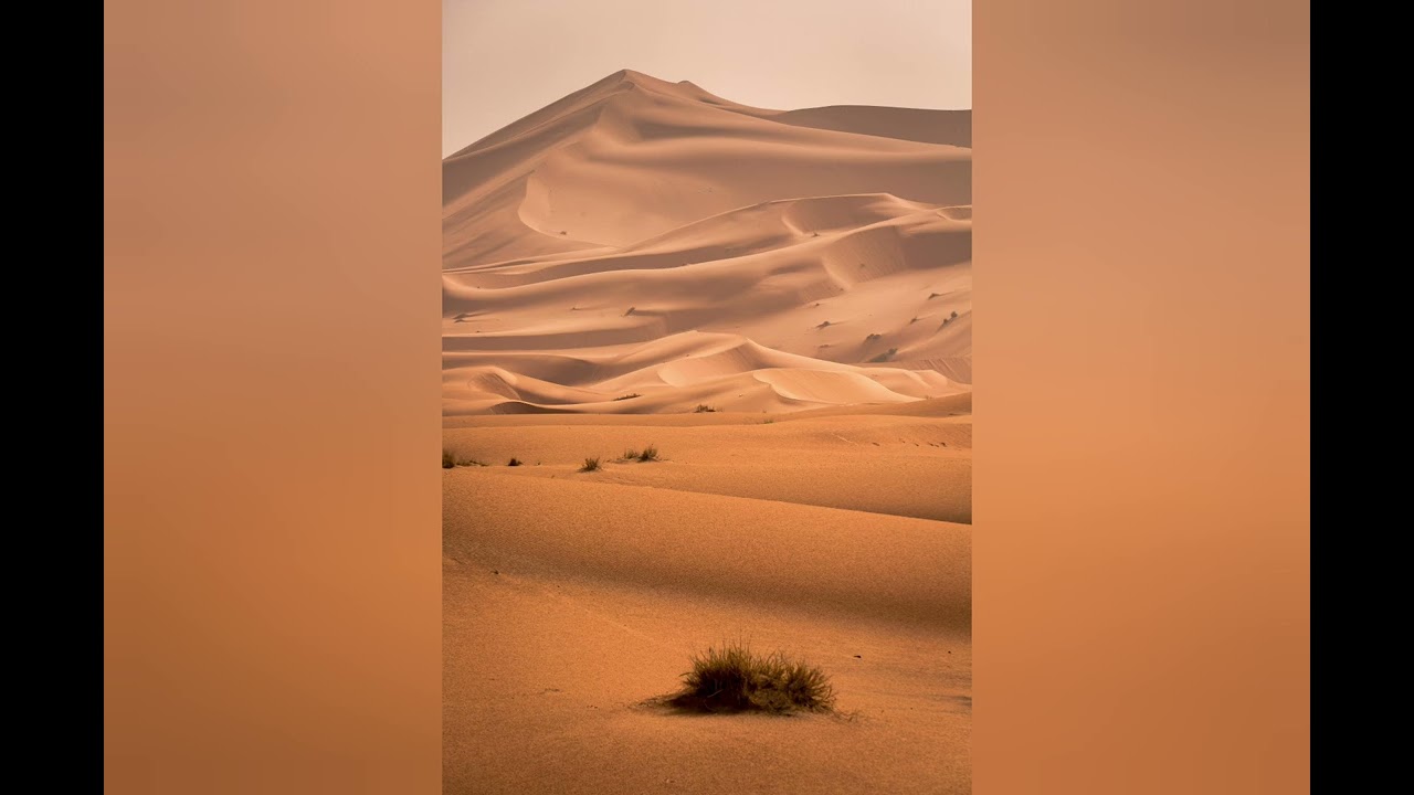 Cheb Khaled Sahara ✌🏽🫶🏽🇲🇦🇲🇦🇲🇦🫶🏽 ربي فرجها الحمدلله 