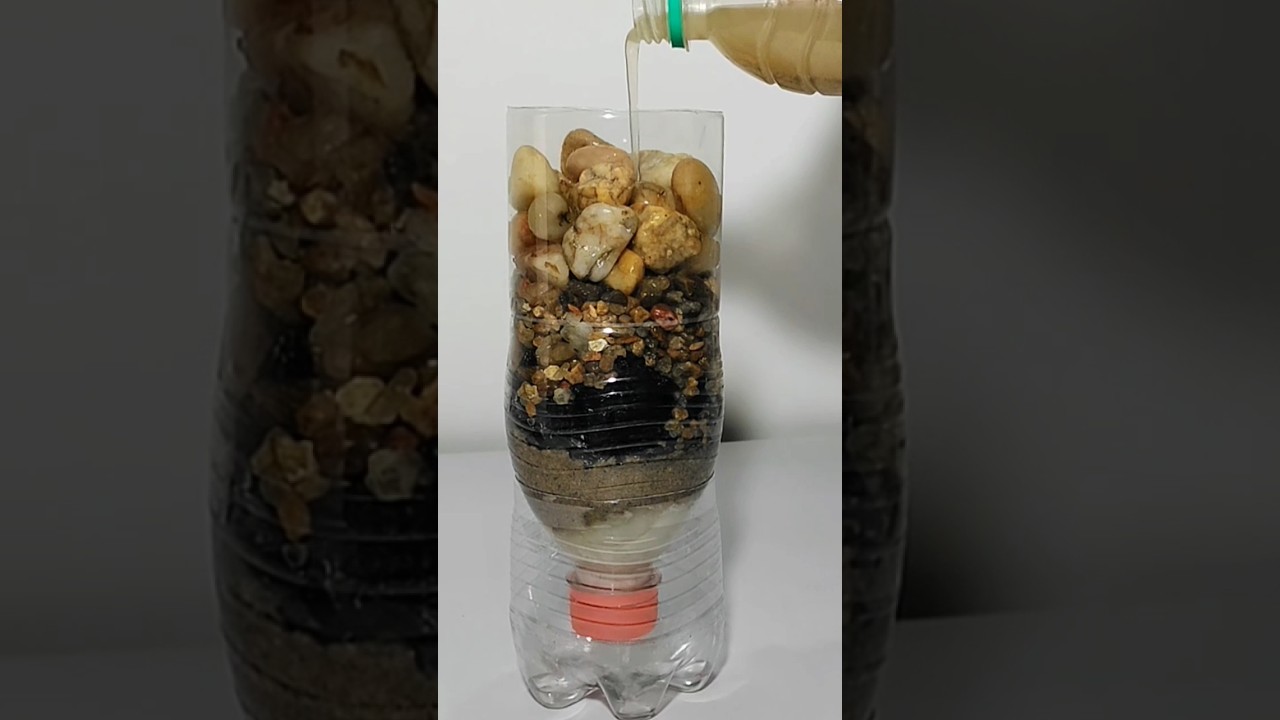 DIY Water Filter #diy #scienceproject #shorts
