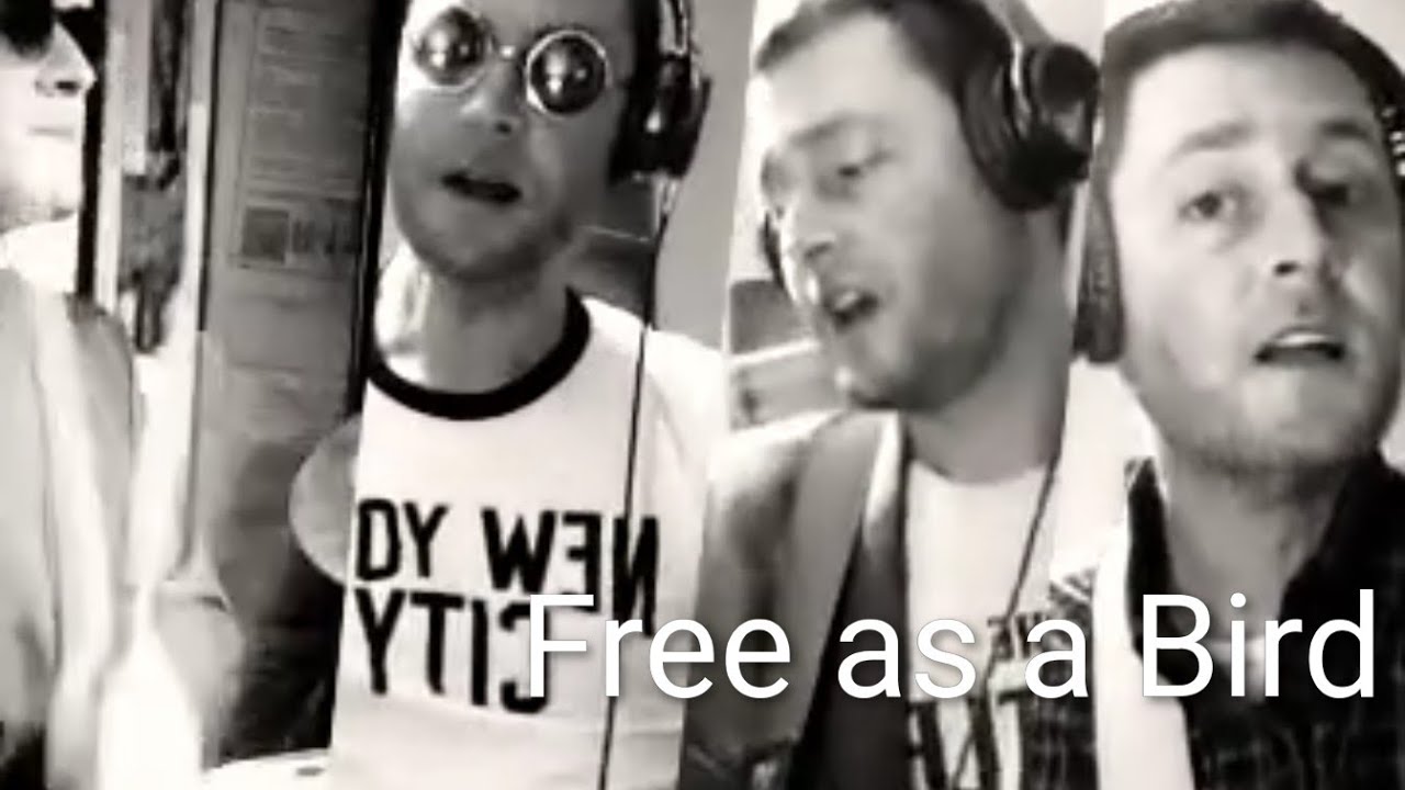 Free as a Bird