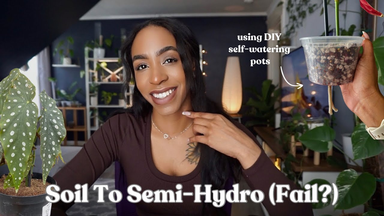Switching My New Plants From Soil To Semi-Hydro Using DIY Self-Water Pots | Begonia & Money Tree 🌱