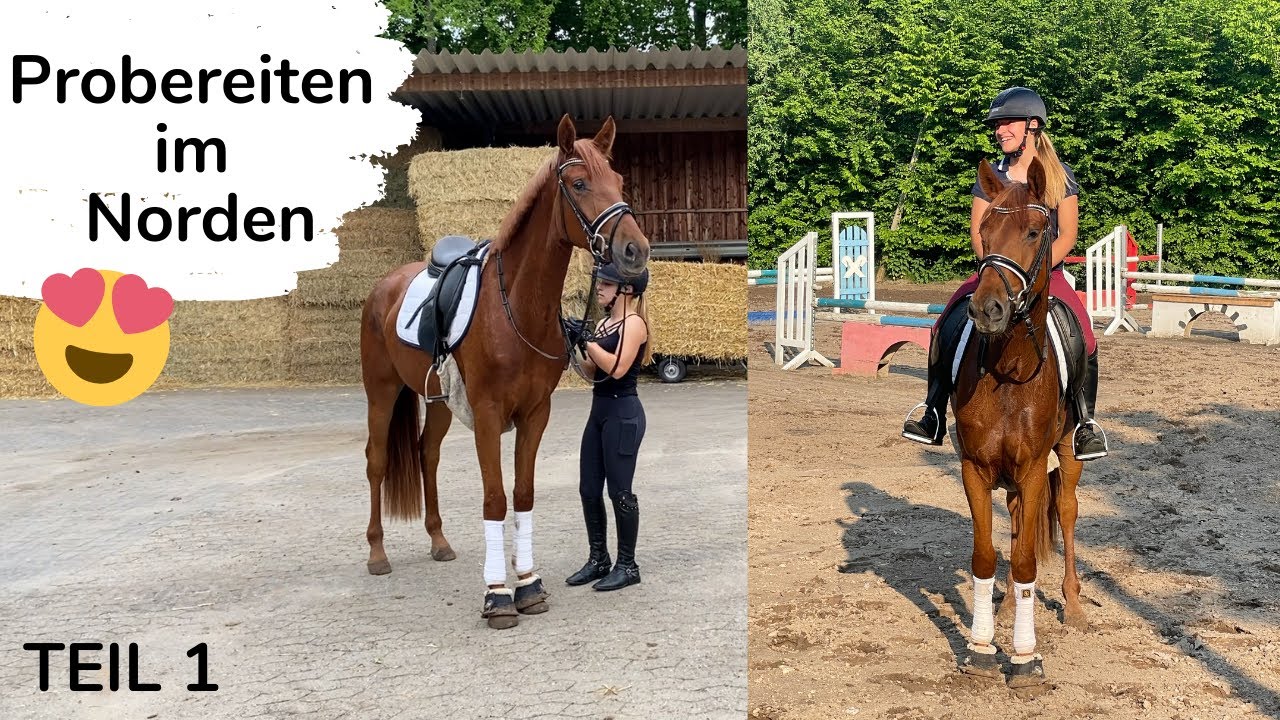 Wird das mein neues Pferd? 😍 | PROBEREITEN | Marina und die Ponys
