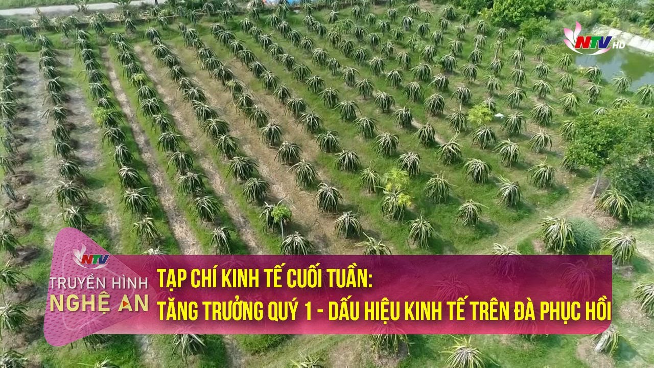 Tạp chí Kinh tế cuối tuần: Tăng trưởng quý 1 - dấu hiệu kinh tế trên đà phục hồi | NTV
