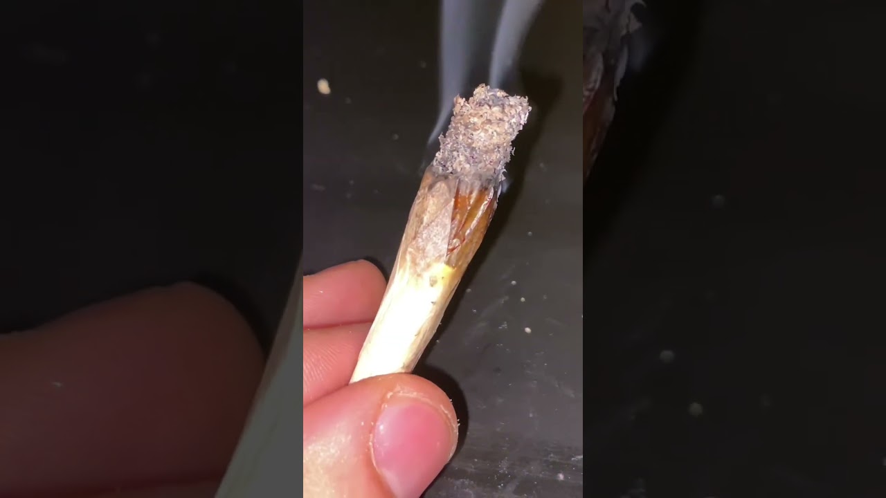 Joint Test of Revolution&rsquo;s Newest Release, Opal Aura OG