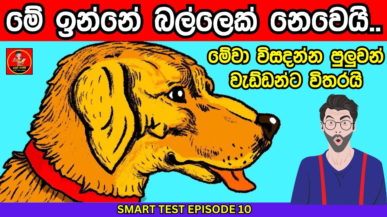 Smart Test Episode 10| මේවා පුලුවන්නම් ඔයා සුපිරිම බුද්ධිමතෙක් 😱❤️|sinhala riddles| Danuma Poddi