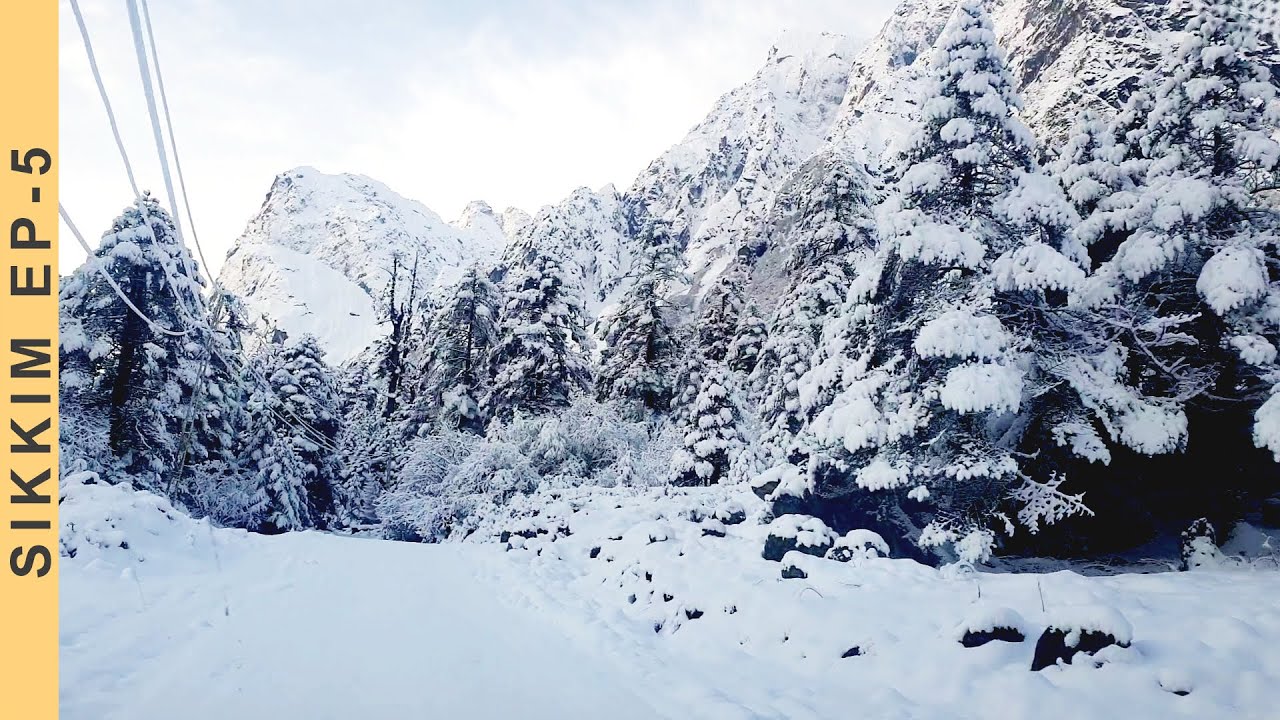 Gangtok to Yumthang Valley North Sikkim Complete Tour | North Sikkim Road Trip | Sikkim Tour Plan |