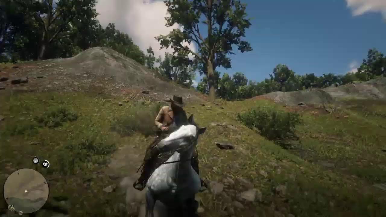 Red dead redeption2