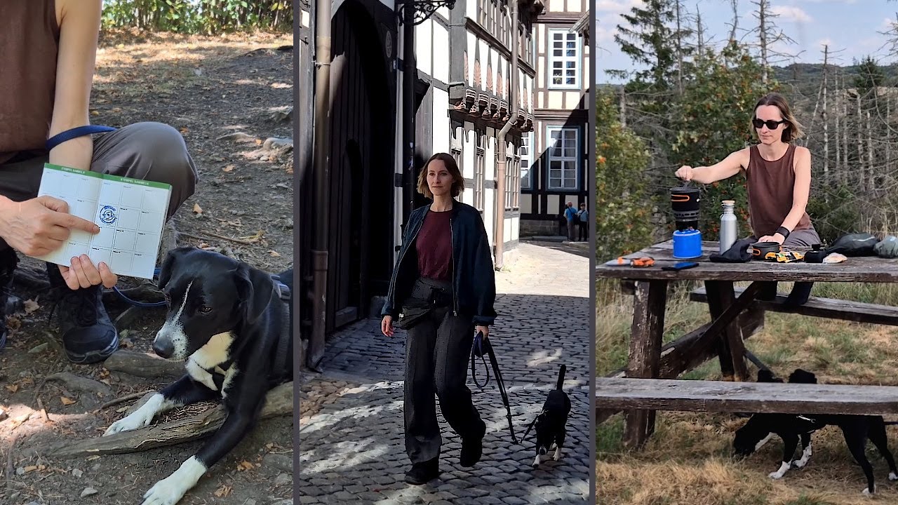 Auf der Suche nach Ruinen, Stempeln – und meinem Geburtshaus in Quedlinburg! | Harz-Reise 1/2