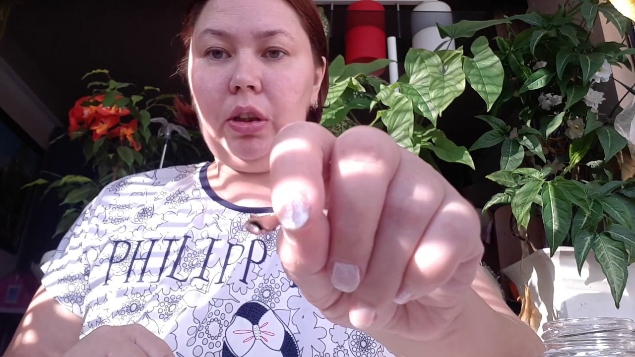 До и после чистим серебро латунь, медь и бронзу