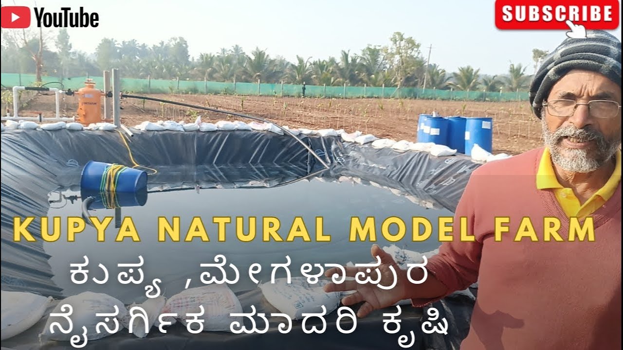 ಕುಪ್ಯ, ಮೇಗಳಾಪುರ ನೈಸರ್ಗಿಕ ಮಾದರಿ ಕೃಷಿ || Kupya Natural Model Farm