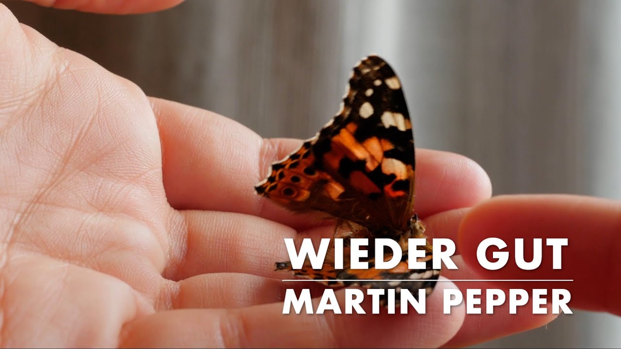Wieder&nbsp;gut | Martin Pepper mit Uli Kringler | Lyric Video