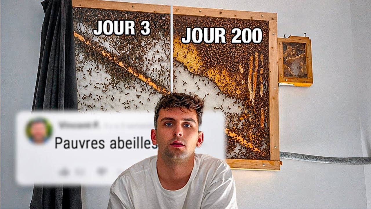 200 Jours avec une Ruche dans ma Maison