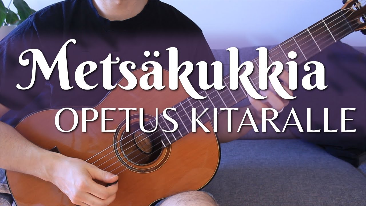 Pala Palalta: Metsäkukkia - Olavi Virta (Opetus kitaralle)