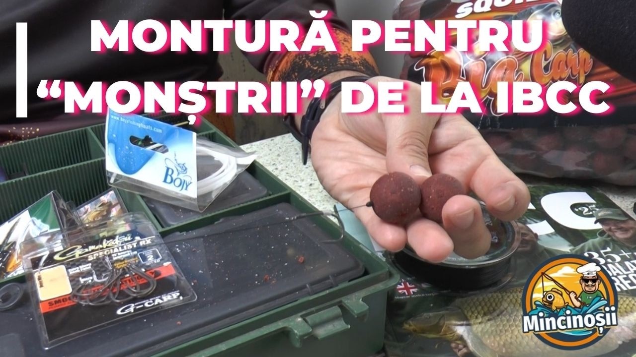 Montură pentru 