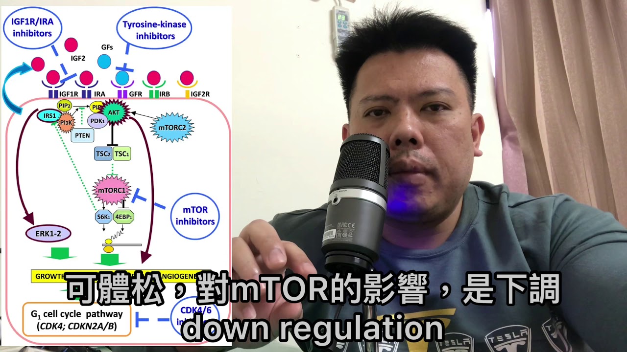 誰是肌肉成長期的豬隊友
