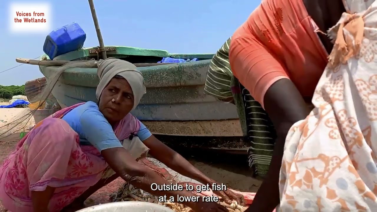 Overfishing in Kodiyakarai: Fishers at peril