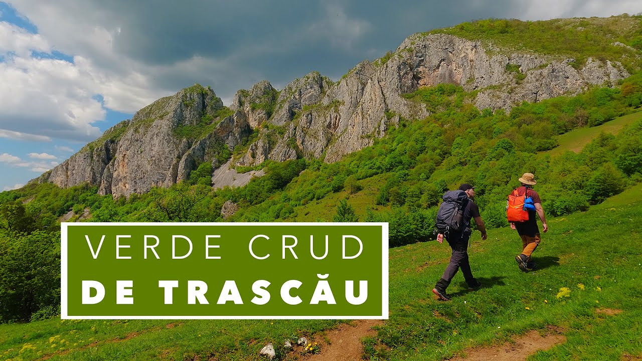 Piatra Cetii - Priveliști uluitoare peste Munții Trascău. Merită să ajungi aici?