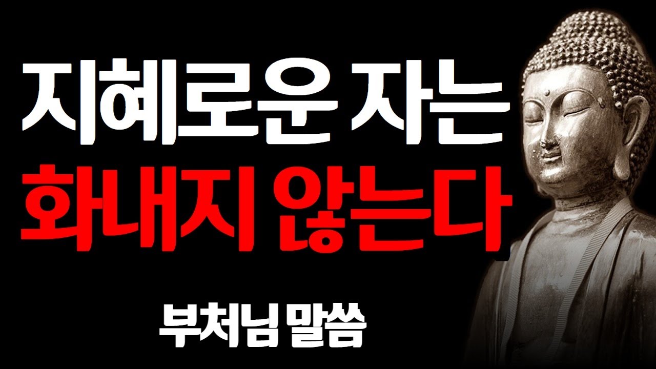 현명한 사람은 화내지 않는다 | 현명한 사람들의 특징 I 석가모니 명언 I 부처님 말씀 I 인생 조언 I 나이가 들수록 명심해야하는 말 I 격언 I 오디오북 I 철학  #불교