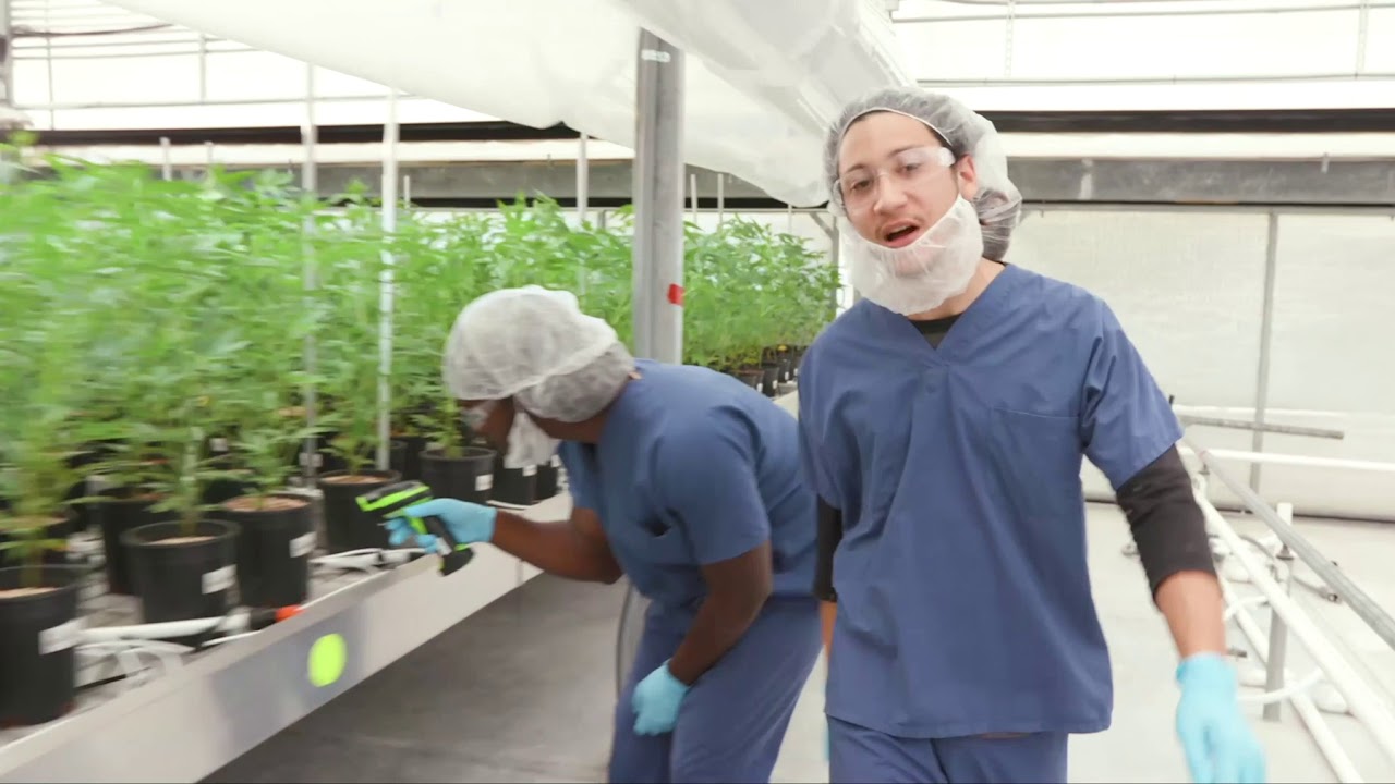 Explore Curaleaf Florida's Cultivation Facility!