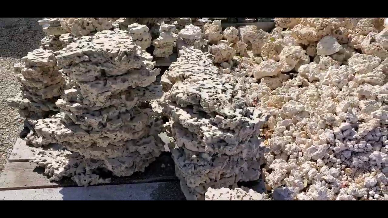 Dry Shelf Rock by Addictive Reef Keeping
