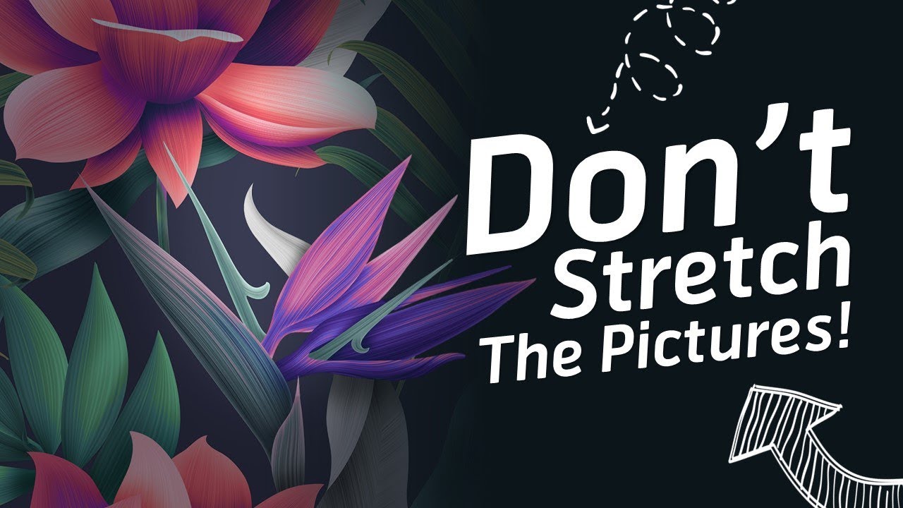 Don't stretch the Pictures!