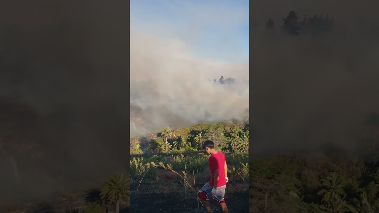 05 febrero 2024 Incendio forestal avanzando a Via Las Palmas visto desde Paso Superior Simón Bolívar