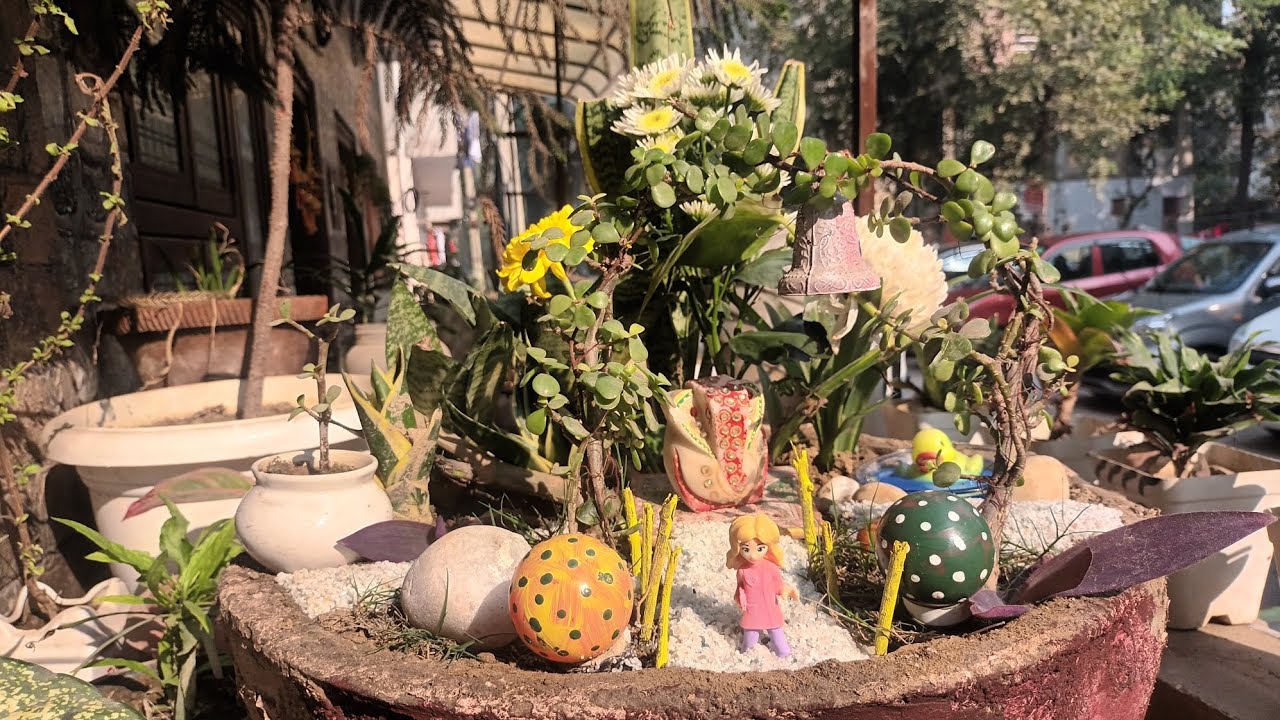 Pocket Garden Paradise😃✨️