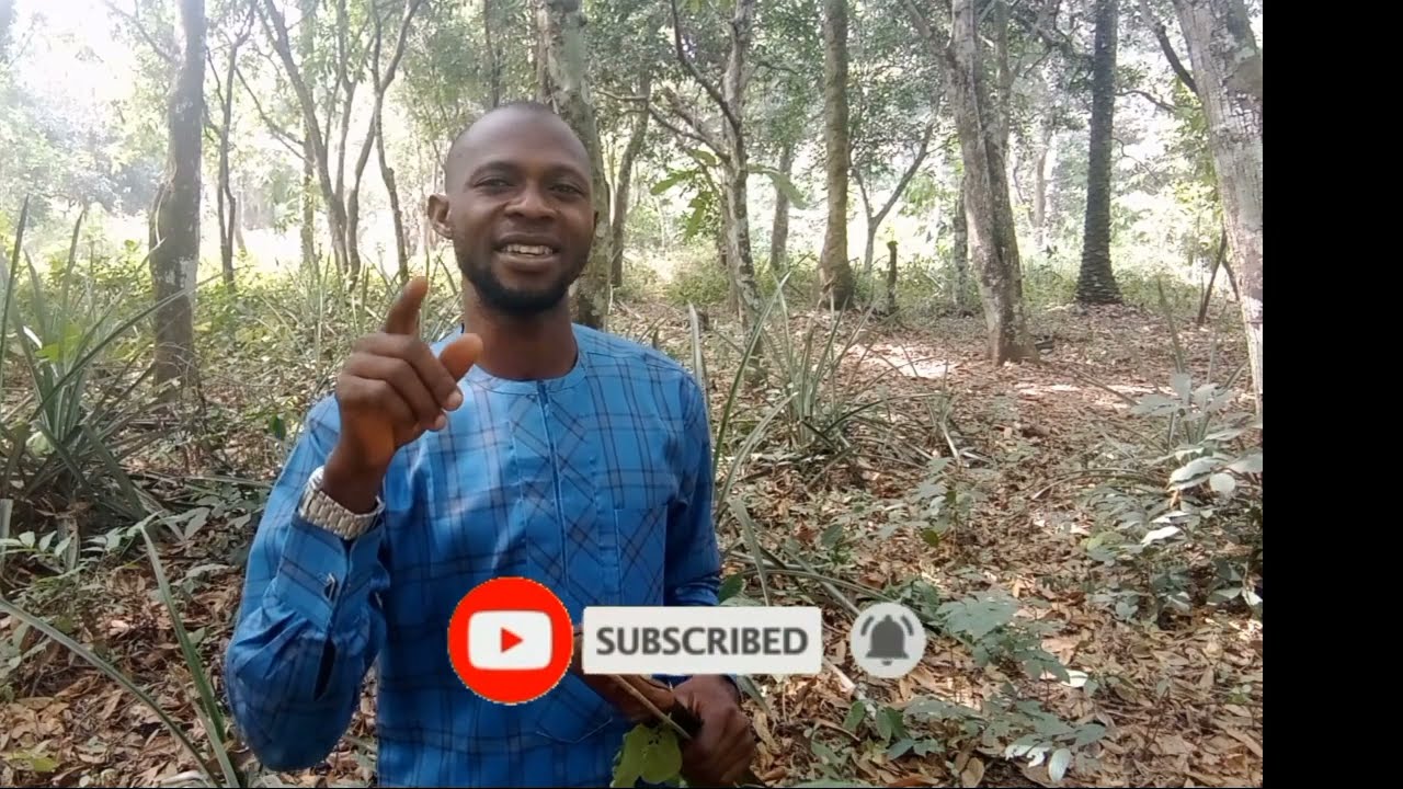 GBẸRẸ ADO'DUN