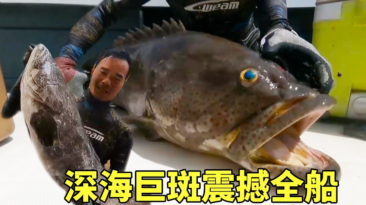 阿鋒和好友風塔捕魚，馬鮫成群結隊，阿鋒潛水捕獲深海巨斑震撼全船。#捕魚#赶海#海釣#大海