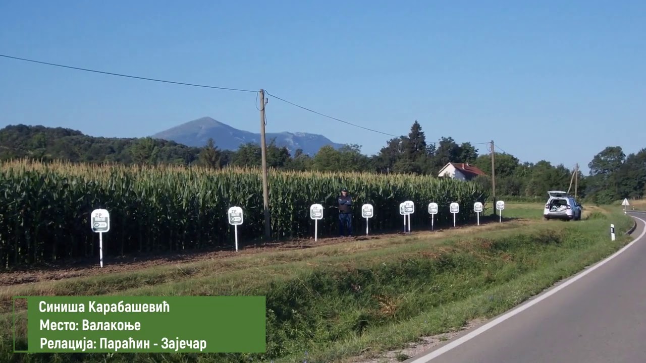 ZP ogledi Centralna Srbija 2020