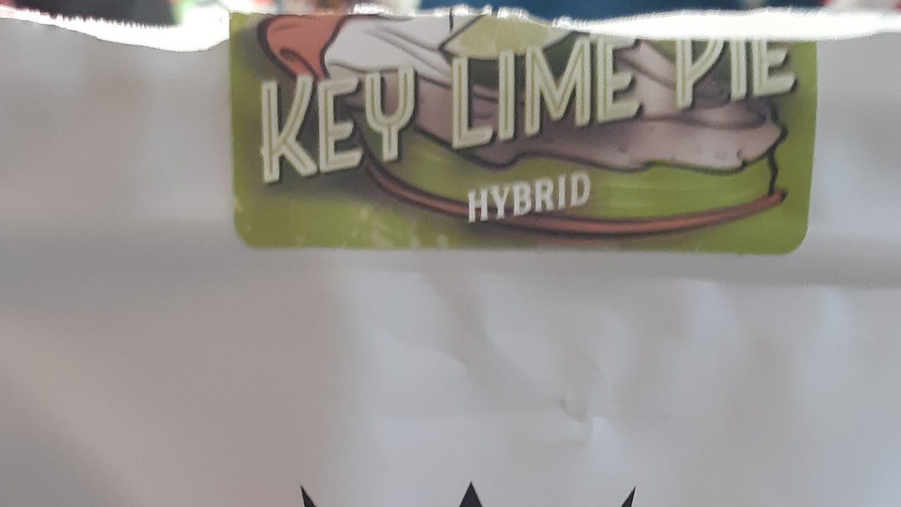 west coast cure key lime pie strain review