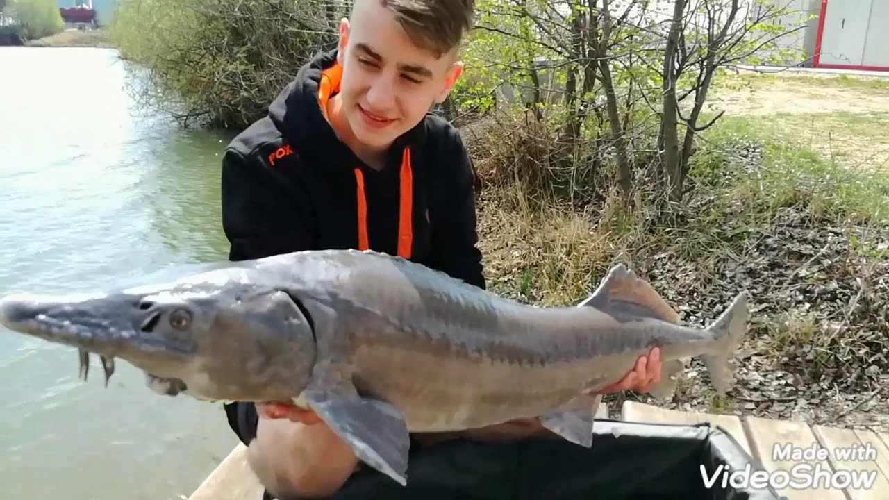 Pískovna Roudnice Duben 2019