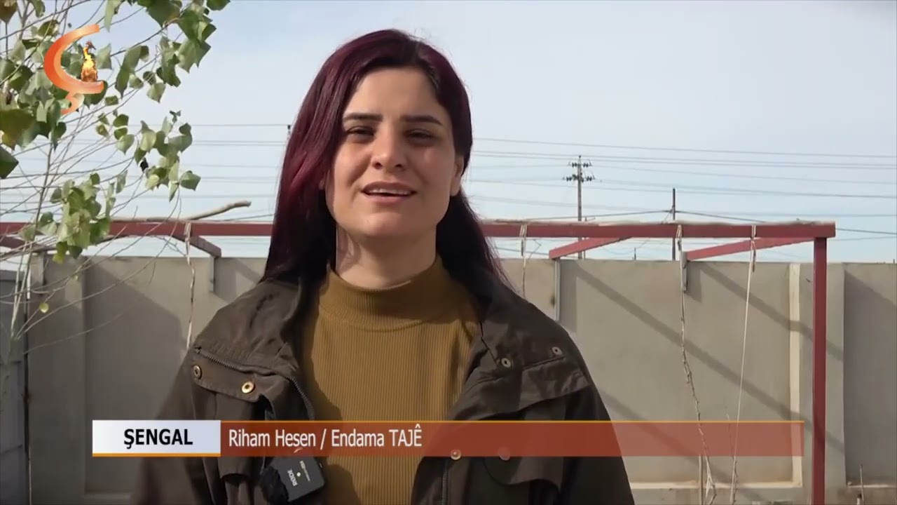 Dosya Taybet | ŞENGAL  |  'Bi yekîtiya Êzidiyan rê li êrişan bigrîn'