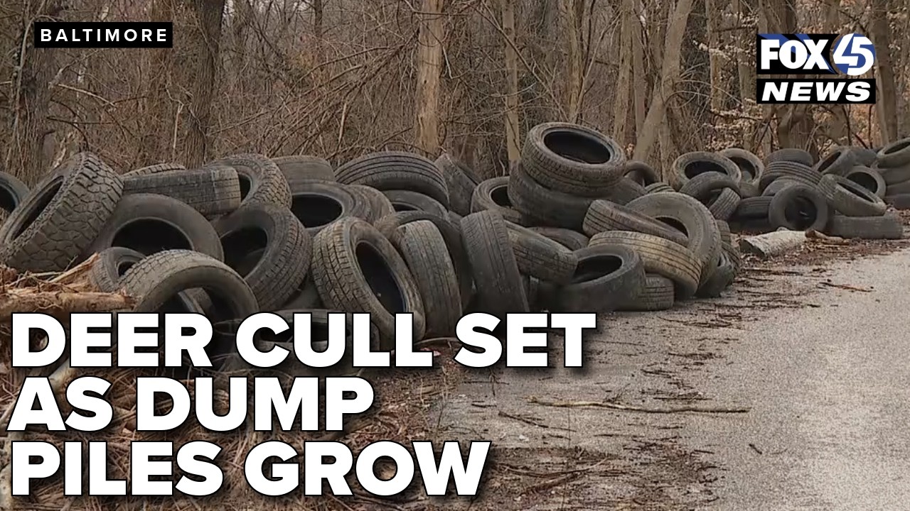 Sharpshooters set for deer cull as Baltimore's Leakin Park dump piles continue growing