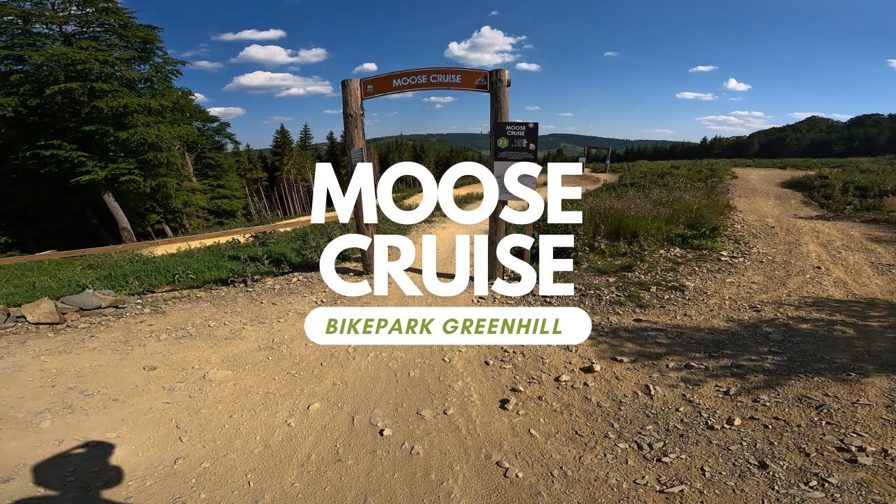 Moose Cruise Greenhill Bikepark Flowline Level Blau POV RAW Full Run