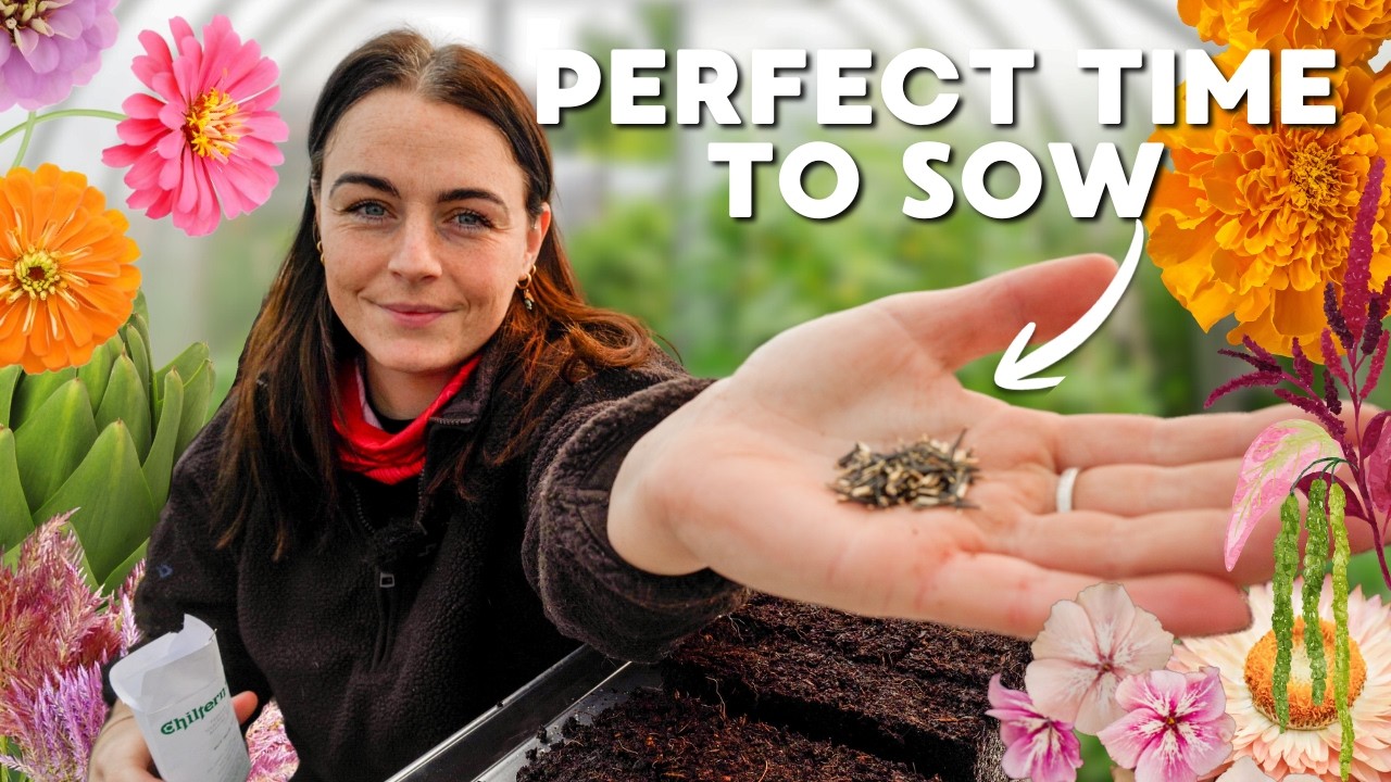 Начинайте выращивать семечки для срезки цветов уже в марте 🌱